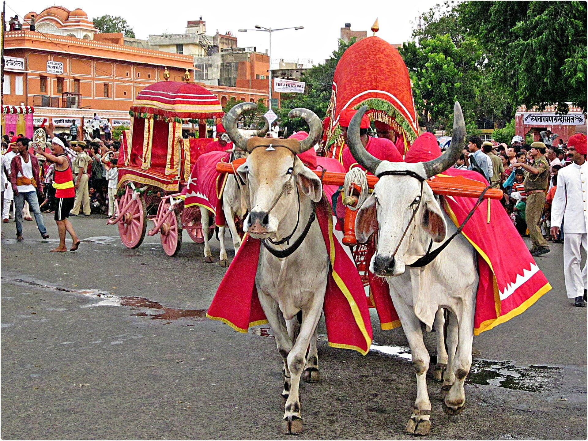 Women in festive dress celebrating the Teej festival in Rajasthan